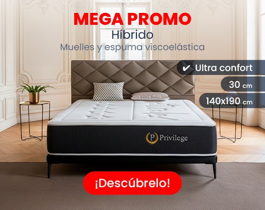 PROMO MUELLES